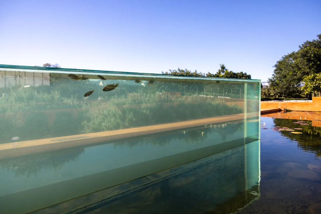 Leeres Aquarium wird für den Transport gesichert